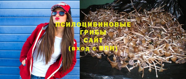 прущая мука Козловка