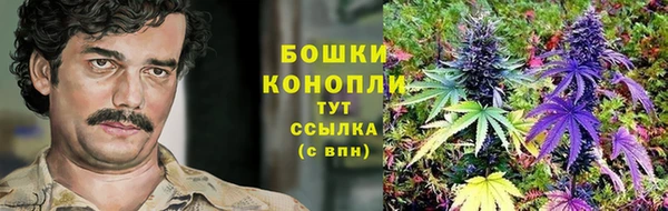прущая мука Козловка