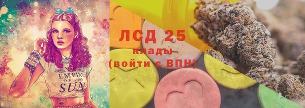 мет Касимов