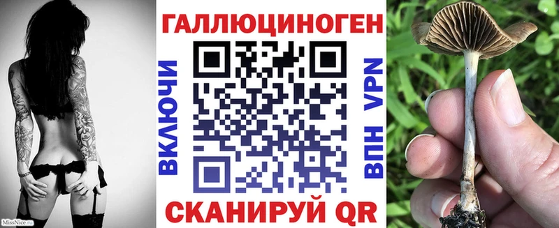 гидра ссылка  где продают наркотики  Киренск  Псилоцибиновые грибы MAGIC MUSHROOMS 